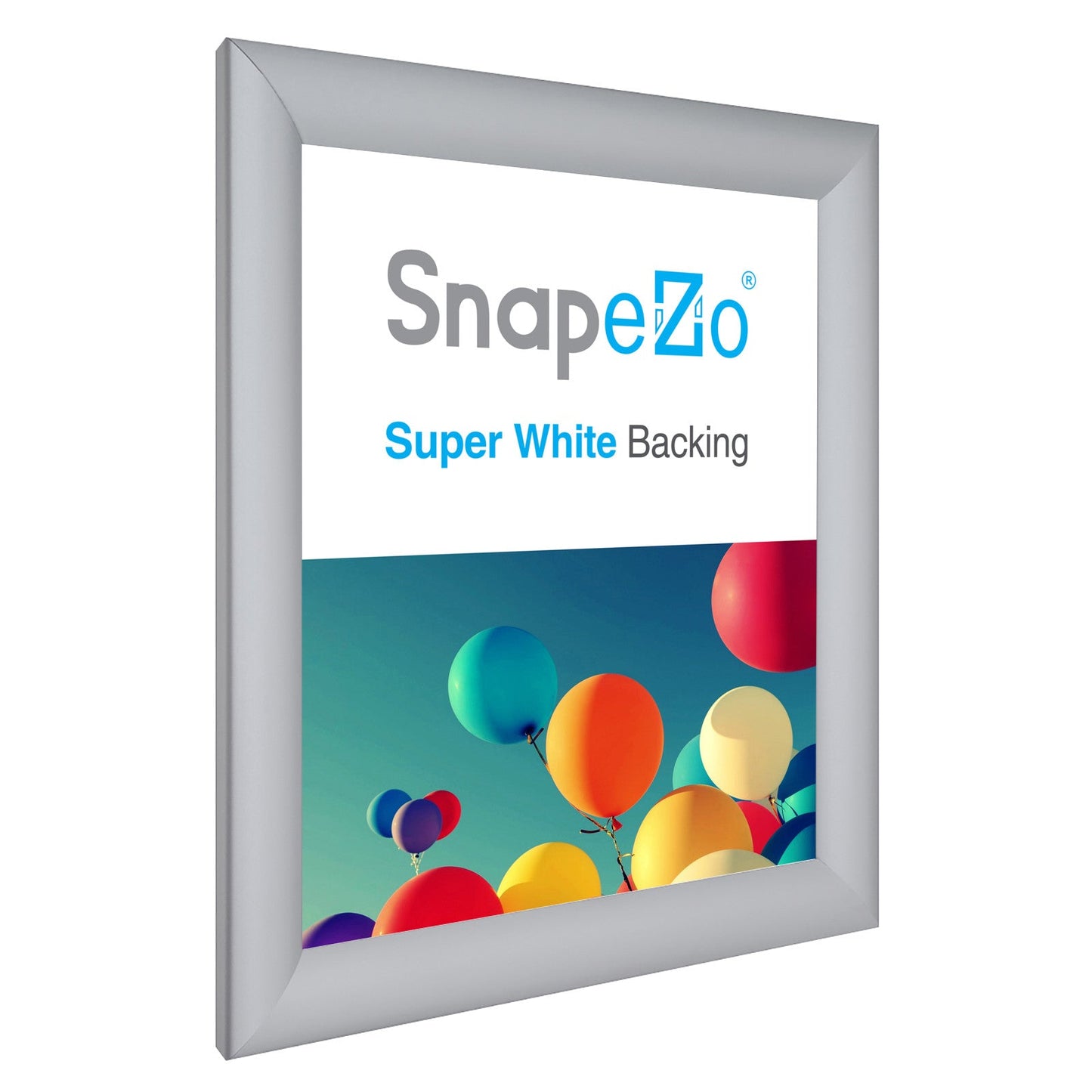 10x12 Silver SnapeZo® Snap Frame - 1.2" Profile