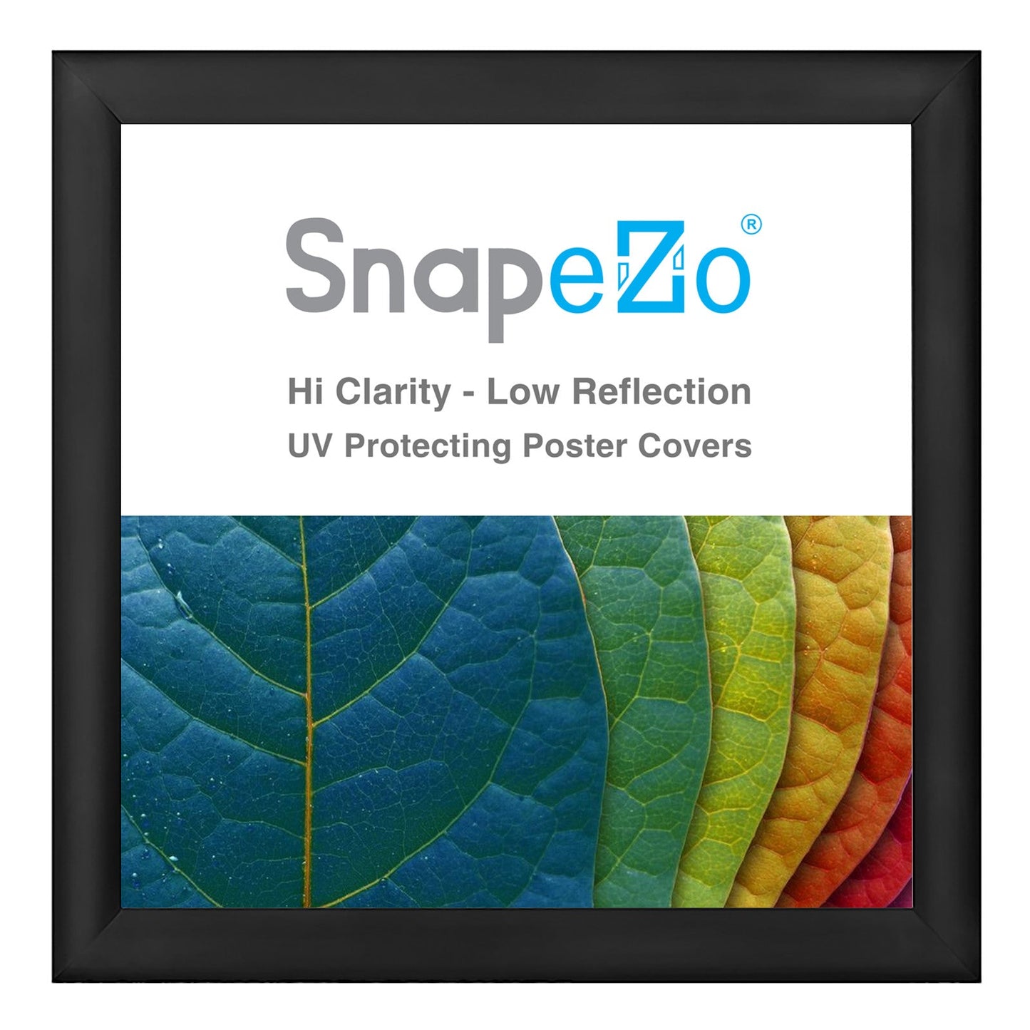 24x30 Blue Snapezo® Snap Frame - 1.2 Profile – Snap Frames Direct