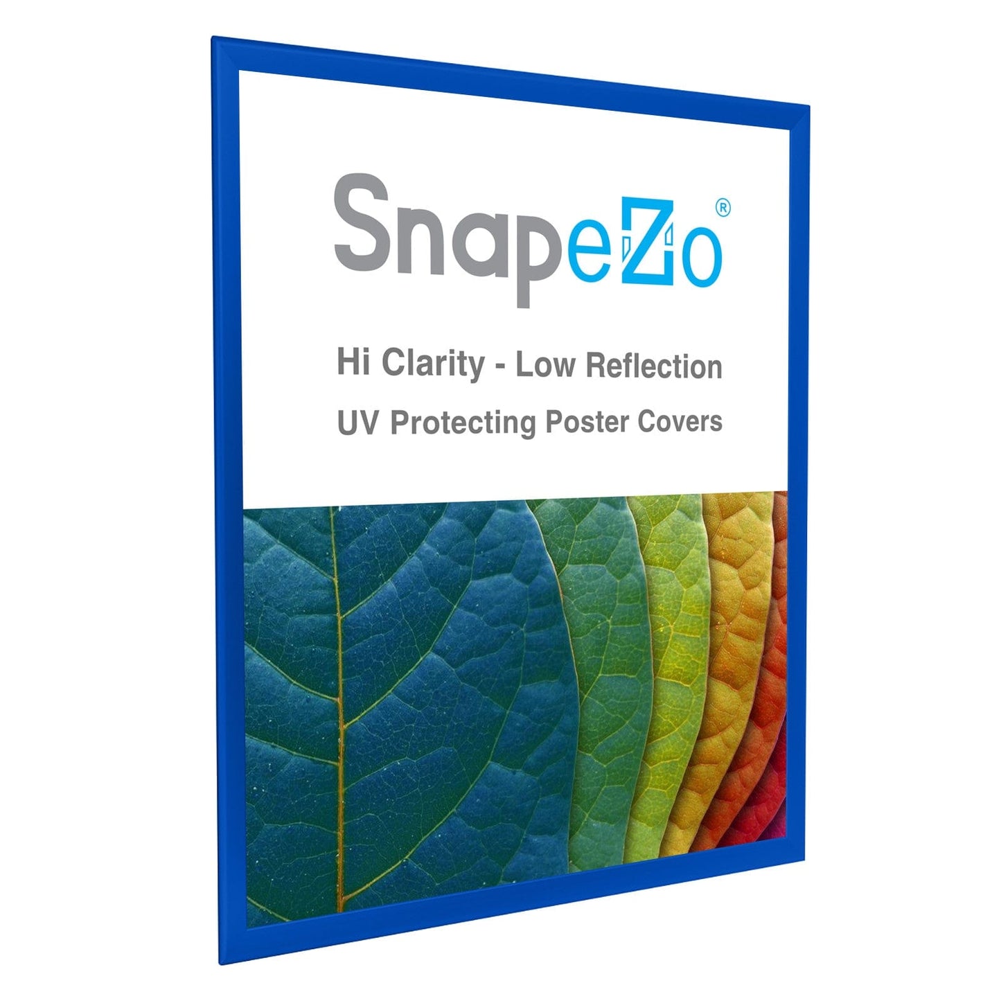 36x48 Blue SnapeZo® Snap Frame - 1.25" Profile - Snap Frames Direct