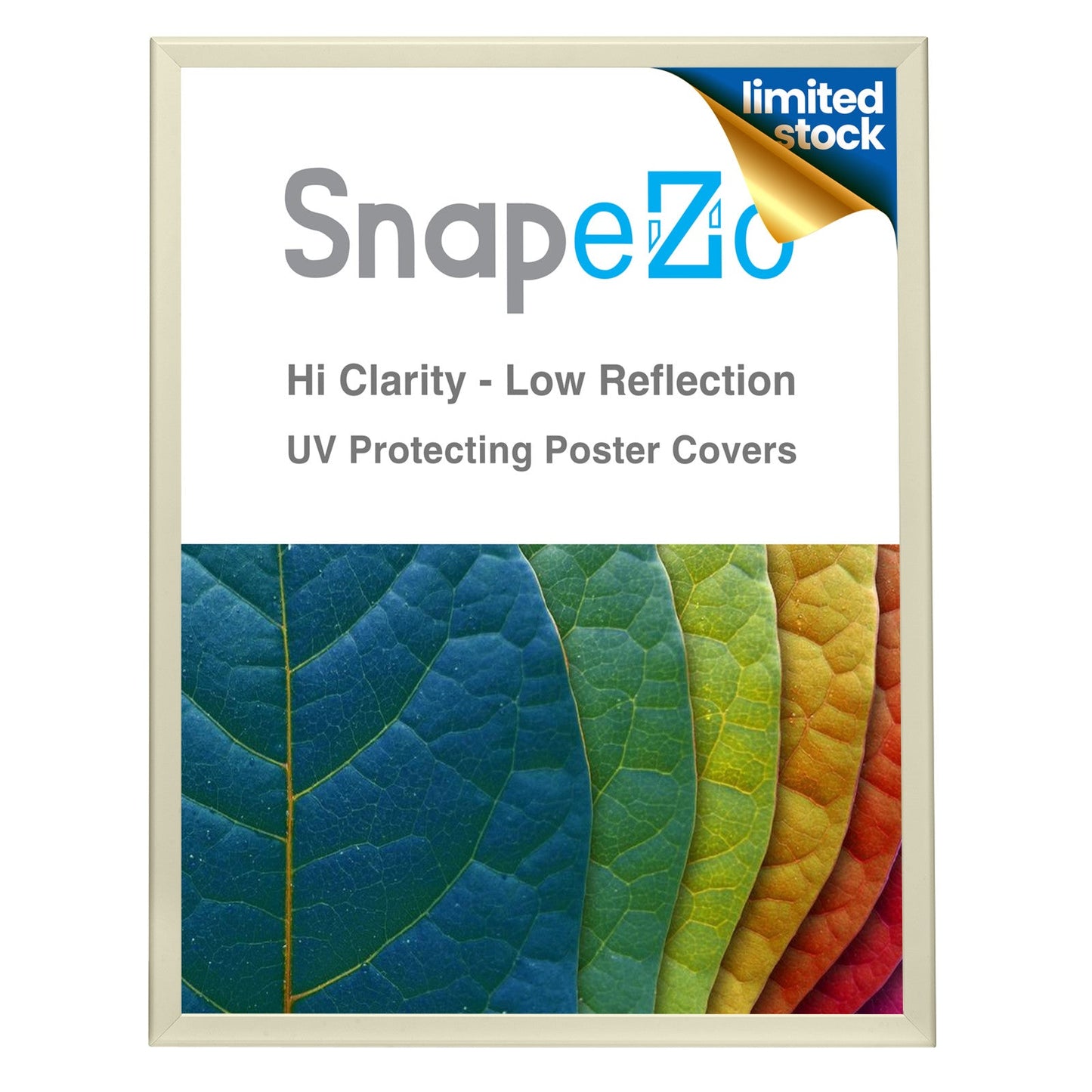 Twin-Pack of 36x48 Inches Cream Snapezo® Snap Frame - 1.25" profile
