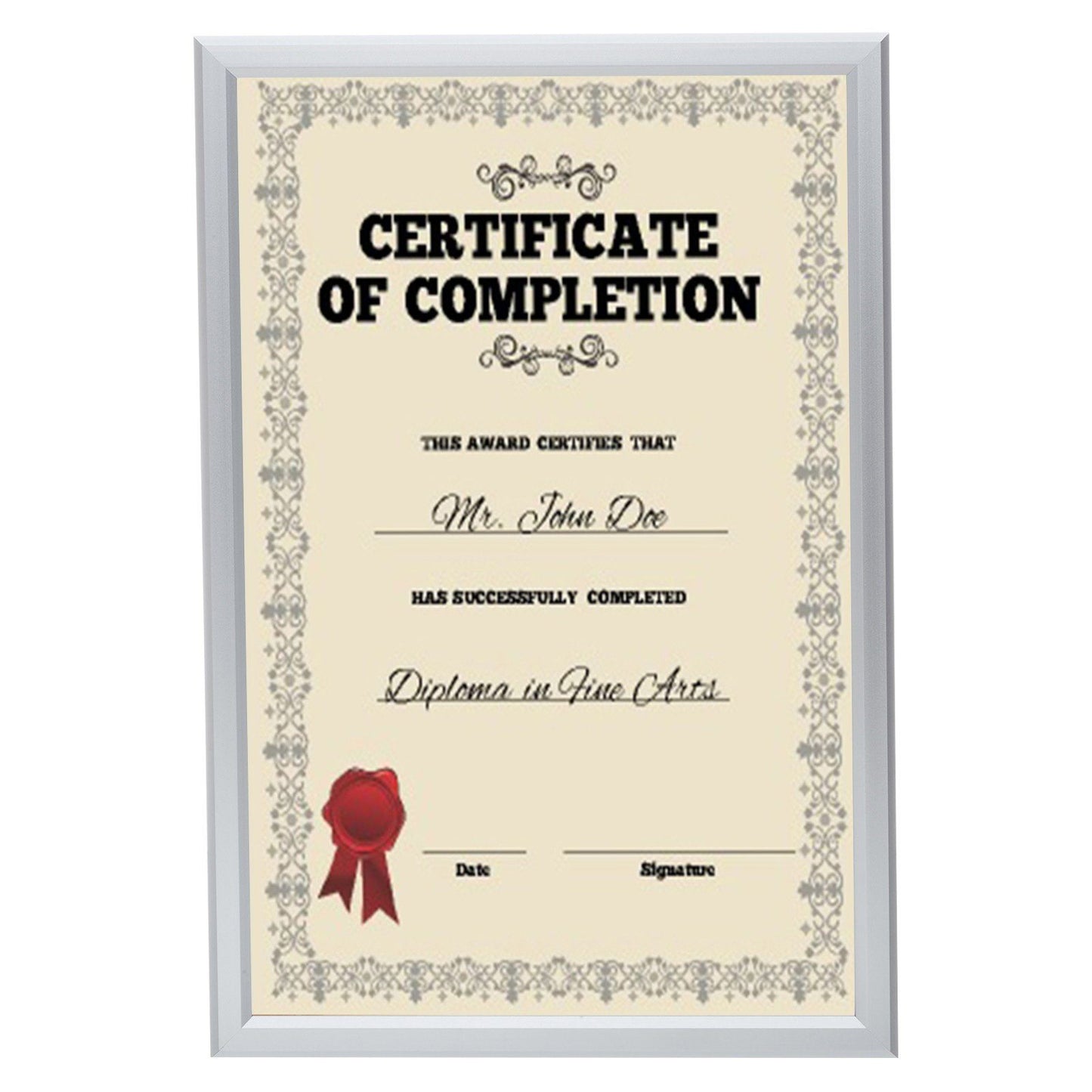 8.5x11 Silver Certificate Frame 0.8 Inch SnapeZo®