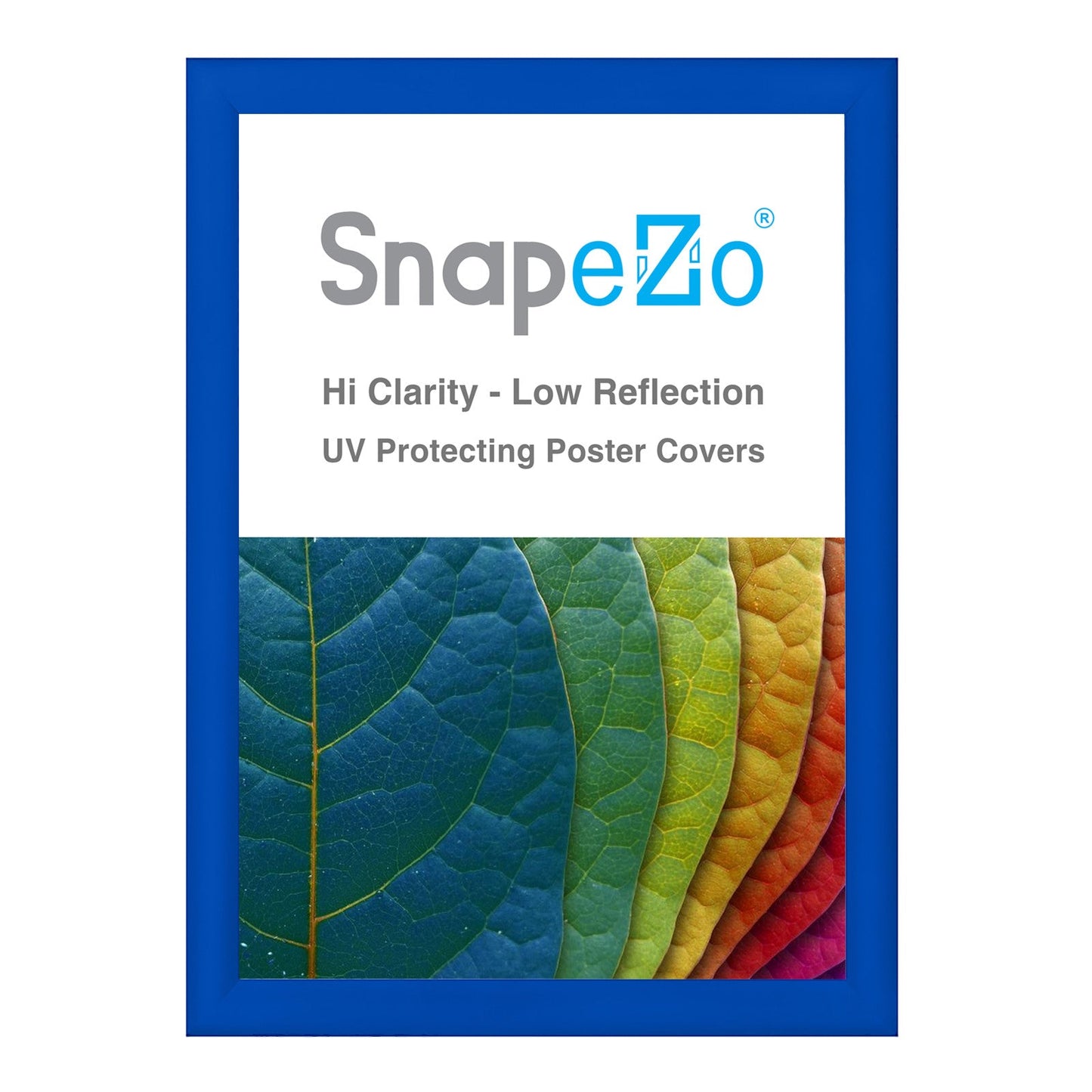 29x40 Blue SnapeZo® Snap Frame - 1.2" Profile