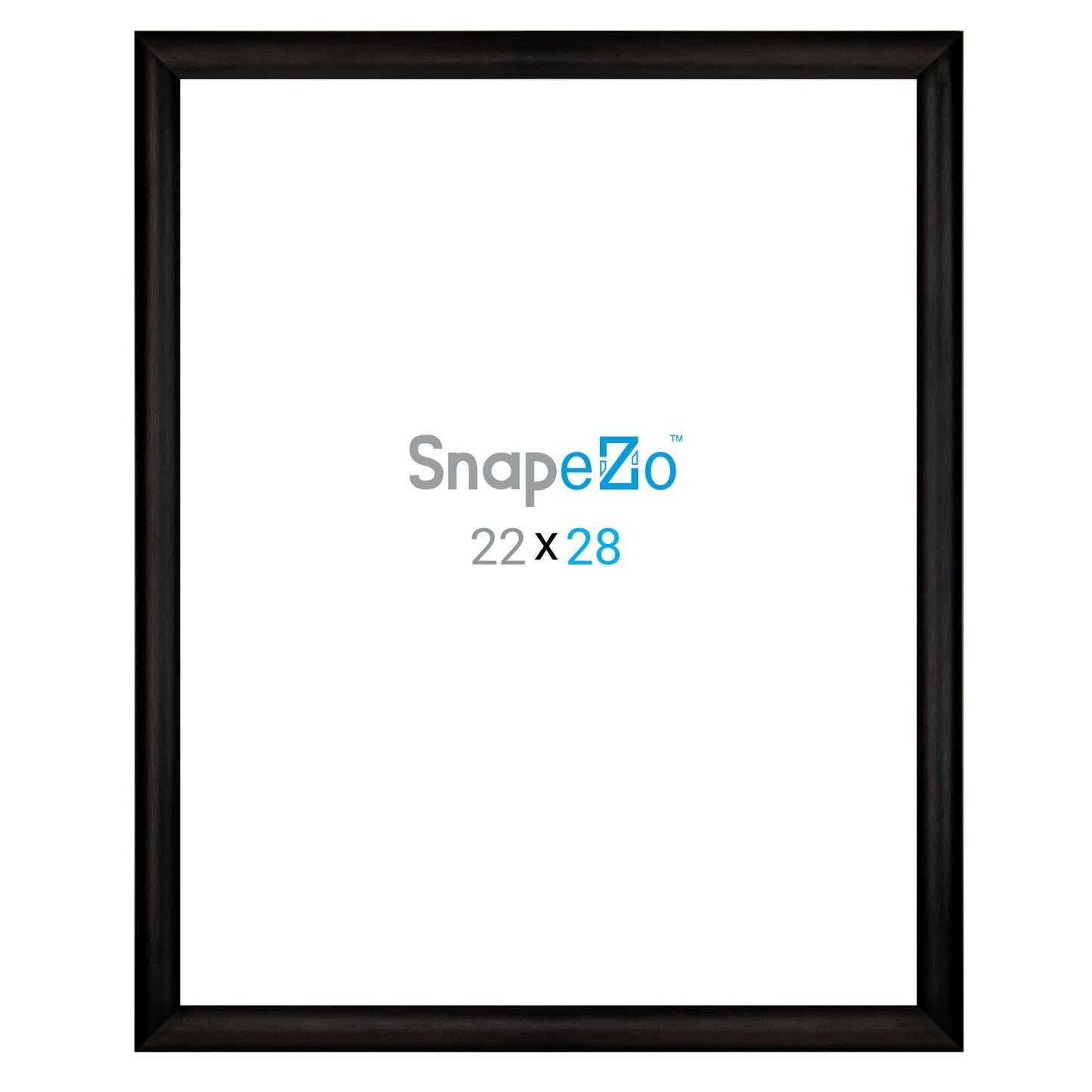 22x28 Brushed Black SnapeZo® Snap Frame - 1" Profile