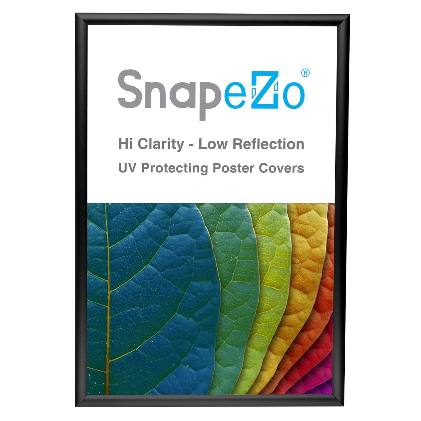 24x36 Black SnapeZo® Snap Frame - 1" Profile