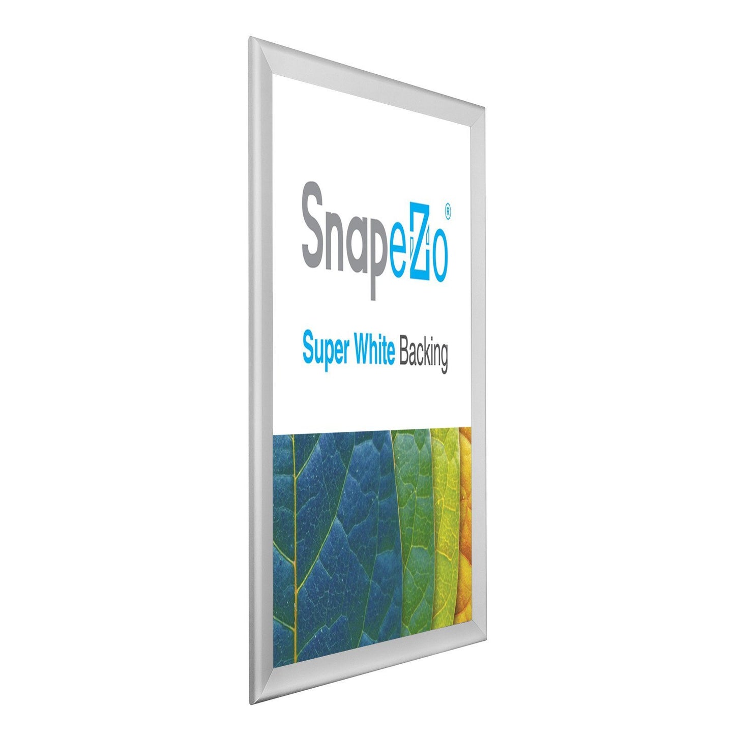 22x56 Silver SnapeZo® Snap Frame - 1.7" Profile