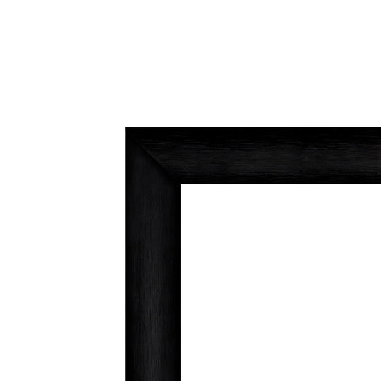 11x17 Brushed Black SnapeZo® Snap Frame - 1" Profile