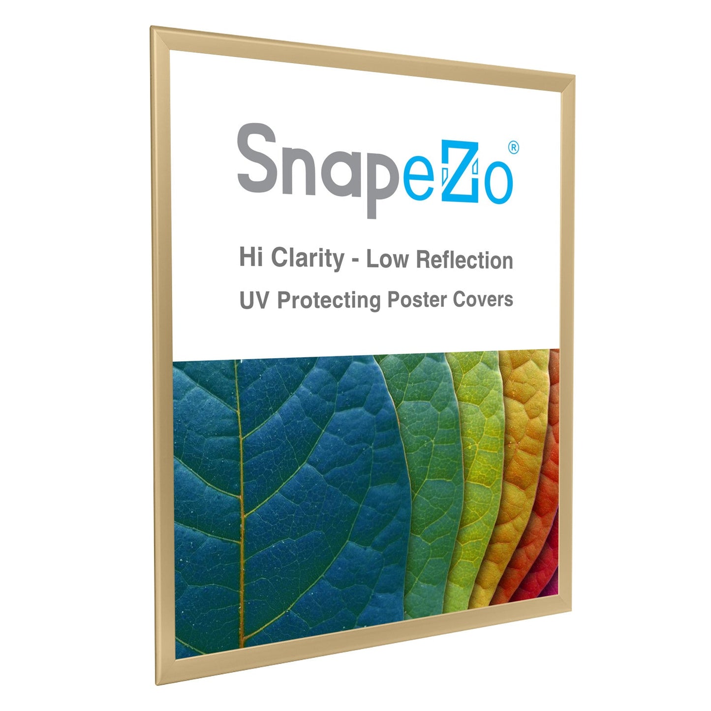36x48 Gold SnapeZo® Snap Frame - 1.25" Profile