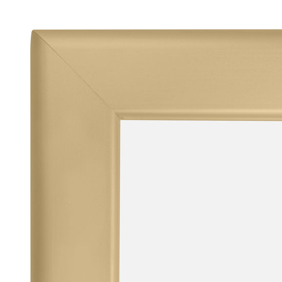 Load image into Gallery viewer, 8x10 Gold SnapeZo® Snap Frame - 1.25&amp;quot; Profile
